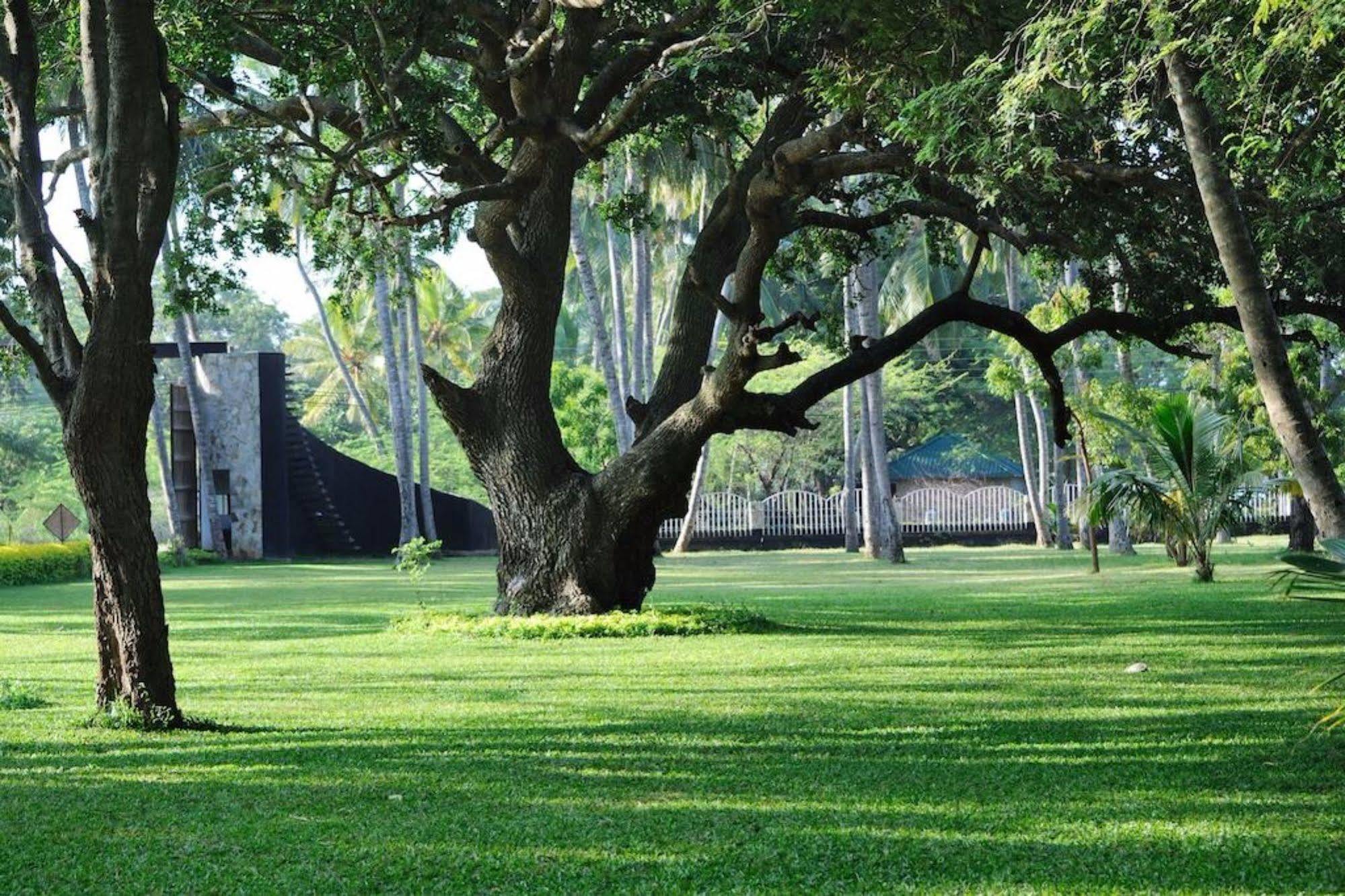 Peacock Beach Hotel Hambantota Luaran gambar